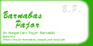barnabas pajor business card